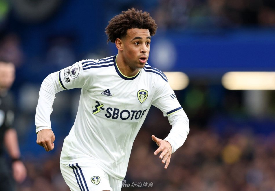 市场上的宠 市场上的宠